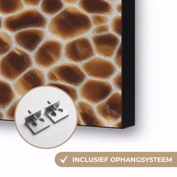Schildpad - Bruin - Patroon Textielframe zwart klein 947 -USP_ophangsysteemNL