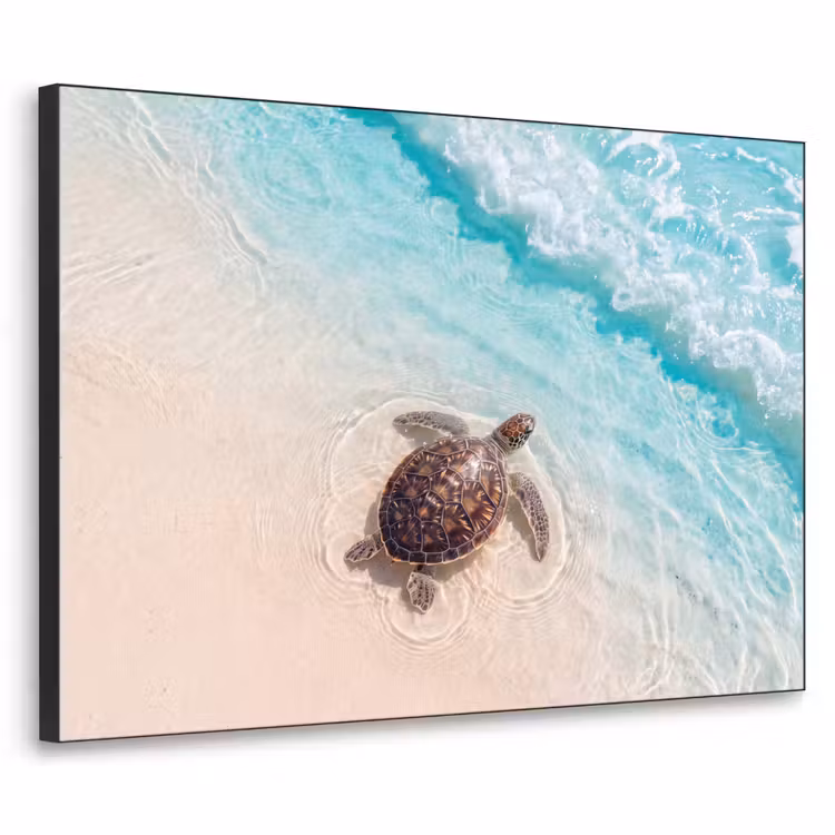 Schildpad - Helder water - Strand - Dieren - Natuur Textielframe zwart klein -3d