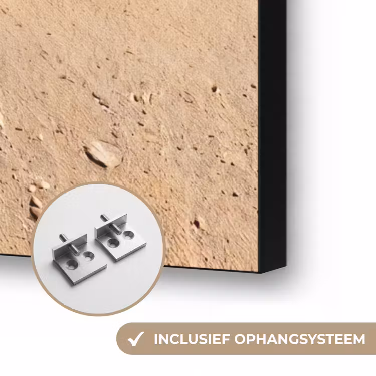 Schildpad - Jong - Strand - Oceaan - Blauw Textielframe zwart klein -USP_ophangsysteemNL