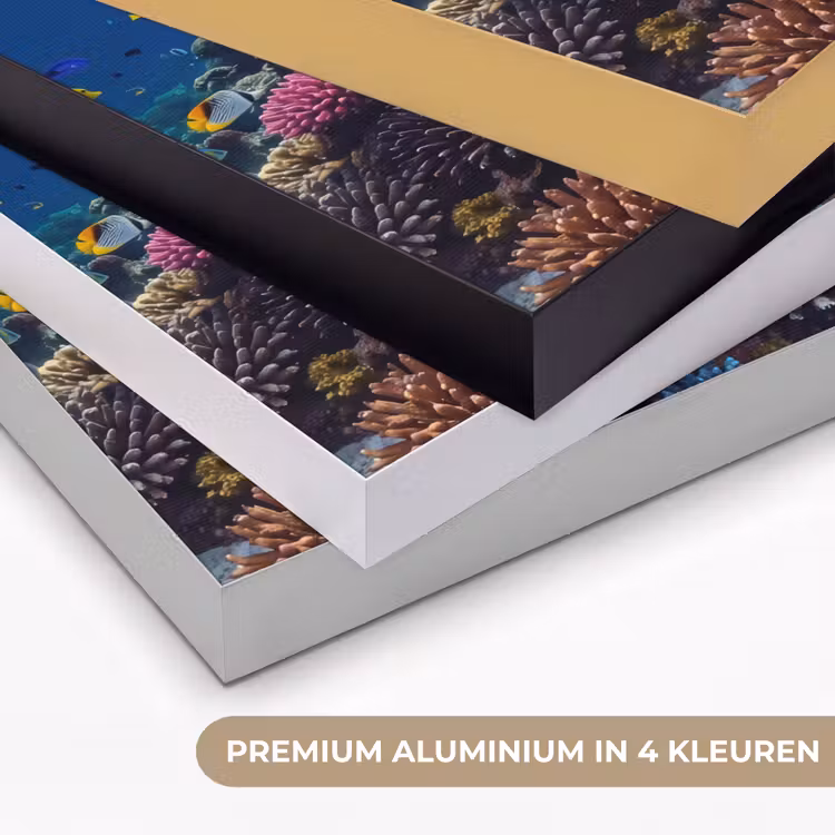 Schildpad - Koraalrif - Oceaan - Dieren - Blauw Textielframe zwart klein -USP_kleurenNL