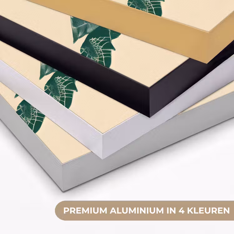 Schildpad - Sierlijk - Groen - Schild Textielframe zwart klein -USP_kleurenNL
