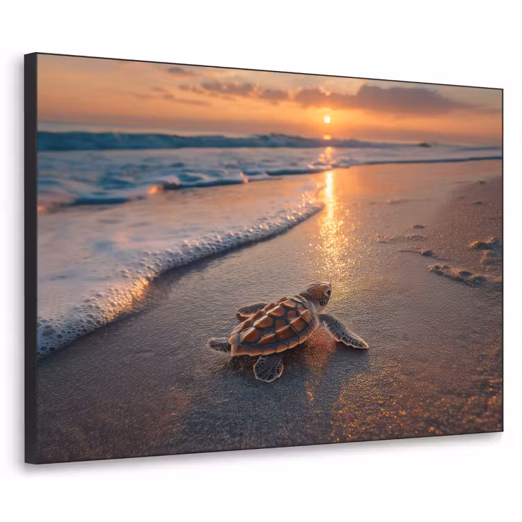 Schildpad - strand - Zonsondergang Textielframe zwart klein -3d