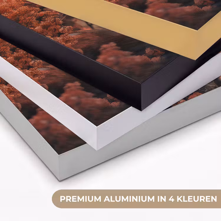Schotse hooglander - Dier - Natuur - Bloemen - Botanisch Textielframe zwart klein -USP_kleurenNL