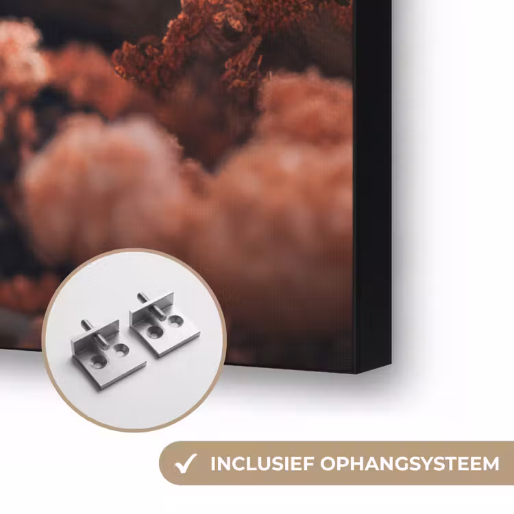 Schotse hooglander - Dier - Natuur - Bloemen - Botanisch Textielframe zwart klein -USP_ophangsysteemNL