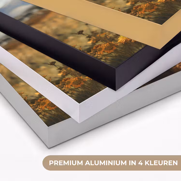 Schotse hooglander - Dieren portret - Natuur - Dier Textielframe zwart klein -USP_kleurenNL