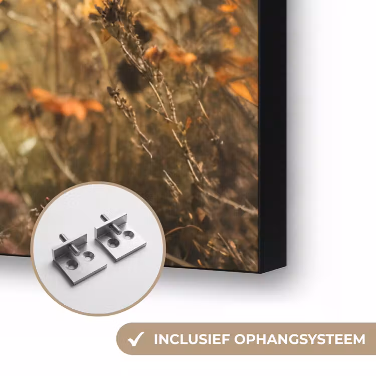 Schotse hooglander - Dieren portret - Natuur - Dier Textielframe zwart klein -USP_ophangsysteemNL
