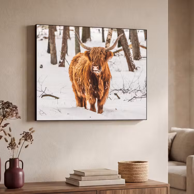 Schotse Hooglander - Sneeuw - Winter - Natuur - Dieren Textielframe - compleet frame klein -sfeer3