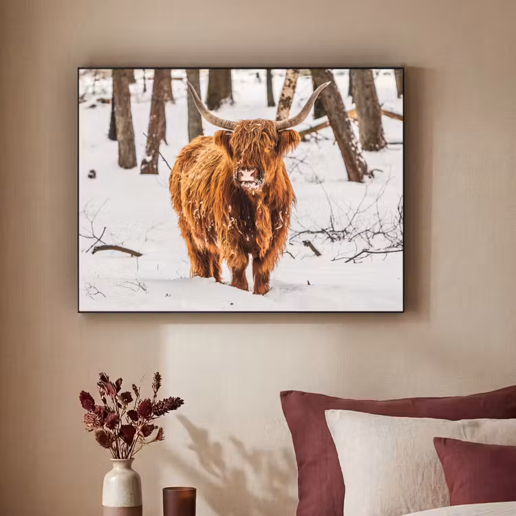 Schotse Hooglander - Sneeuw - Winter - Natuur - Dieren Textielframe - compleet frame klein -sfeer1