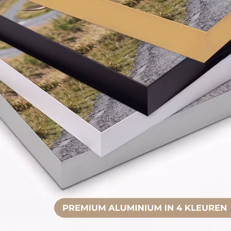 Schotse Hooglanders - Weg - Landschap - Kudde Textielframe zwart klein -USP_kleurenNL