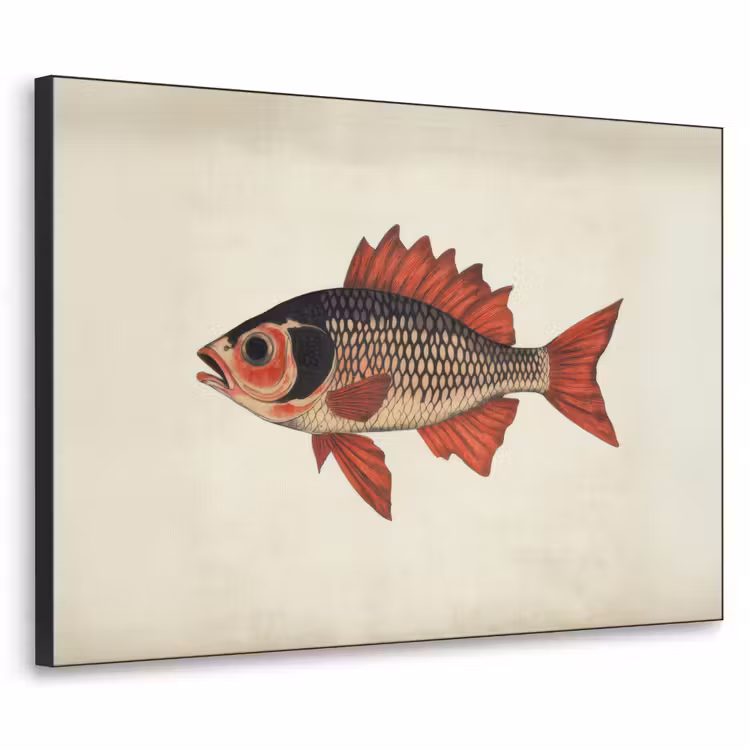 Schubben - Rood - Vis - Vinnen Textielframe - compleet frame klein -3d