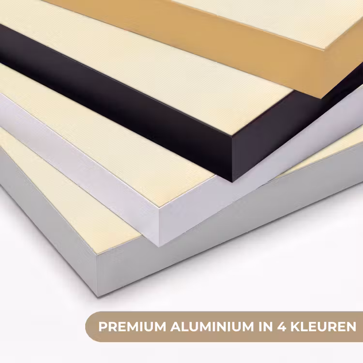 Schubben - Vis - Mint - Minimalistisch Textielframe zwart klein -USP_kleurenNL