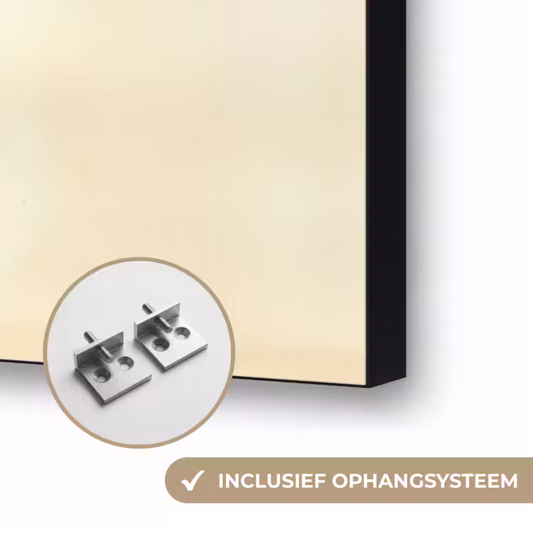 Schubben - Vis - Mint - Minimalistisch Textielframe zwart klein -USP_ophangsysteemNL