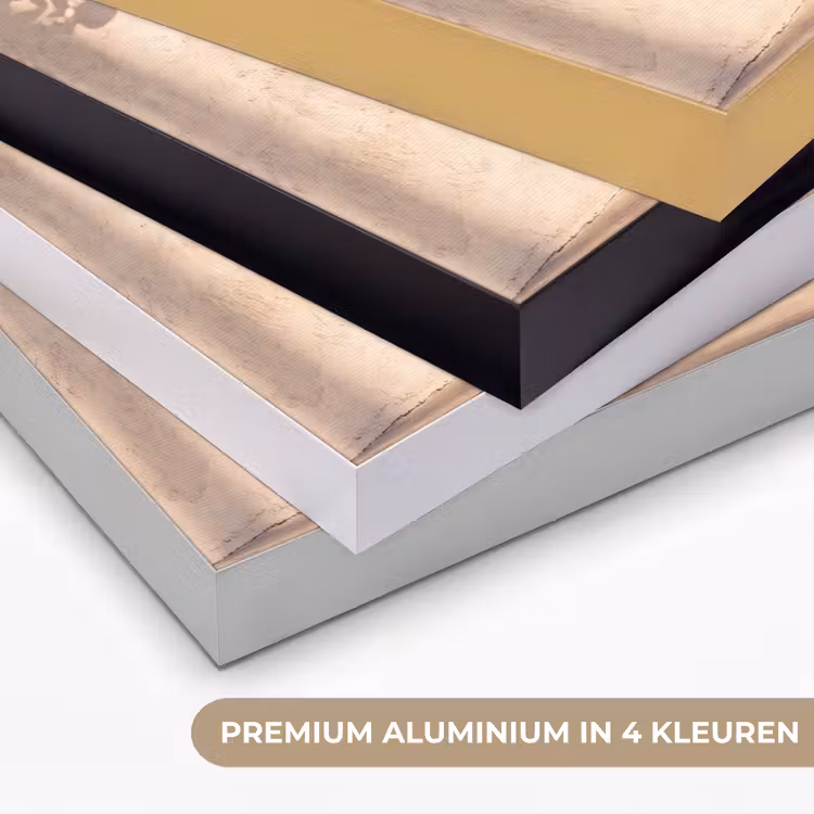 Scooter - Natuur - Zomer - Geel - Mediterraan Textielframe zwart klein -USP_kleurenNL