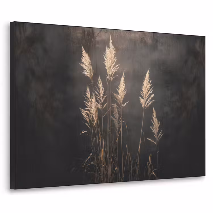Siergras - Pluimen - Verlichting - Zwart Textielframe zwart klein -3d