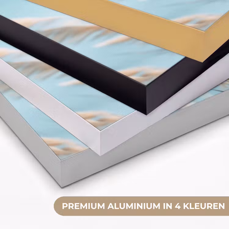 Siergras - Wind - Lichtbruin Textielframe zwart klein -USP_kleurenNL