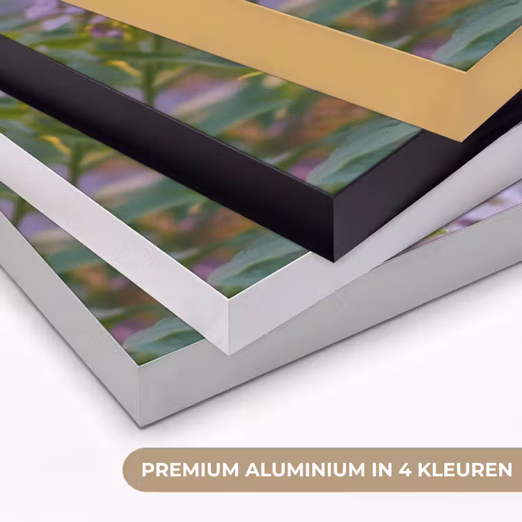 Sierlijke - Vlinder - Paarse - Bloemen Textielframe zwart klein -USP_kleurenNL