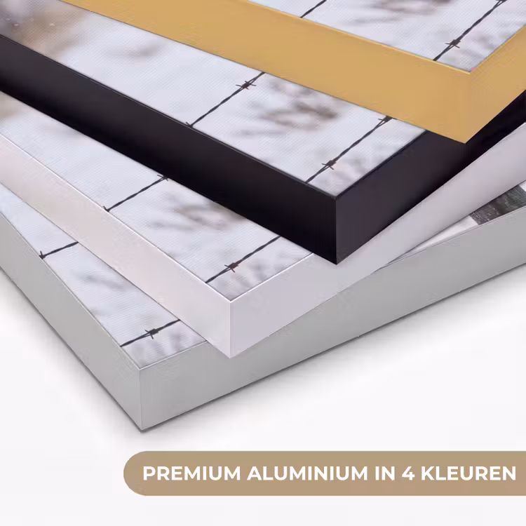 Sneeuwuil - Hek - Sneeuw - Wit Textielframe zwart klein -USP_kleurenNL