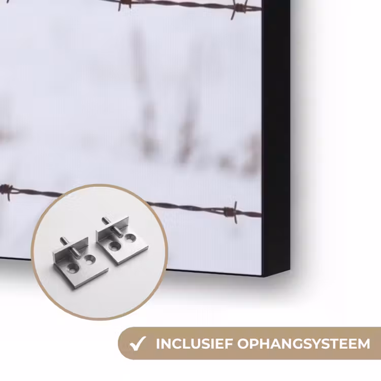 Sneeuwuil - Hek - Sneeuw - Wit Textielframe zwart klein -USP_ophangsysteemNL