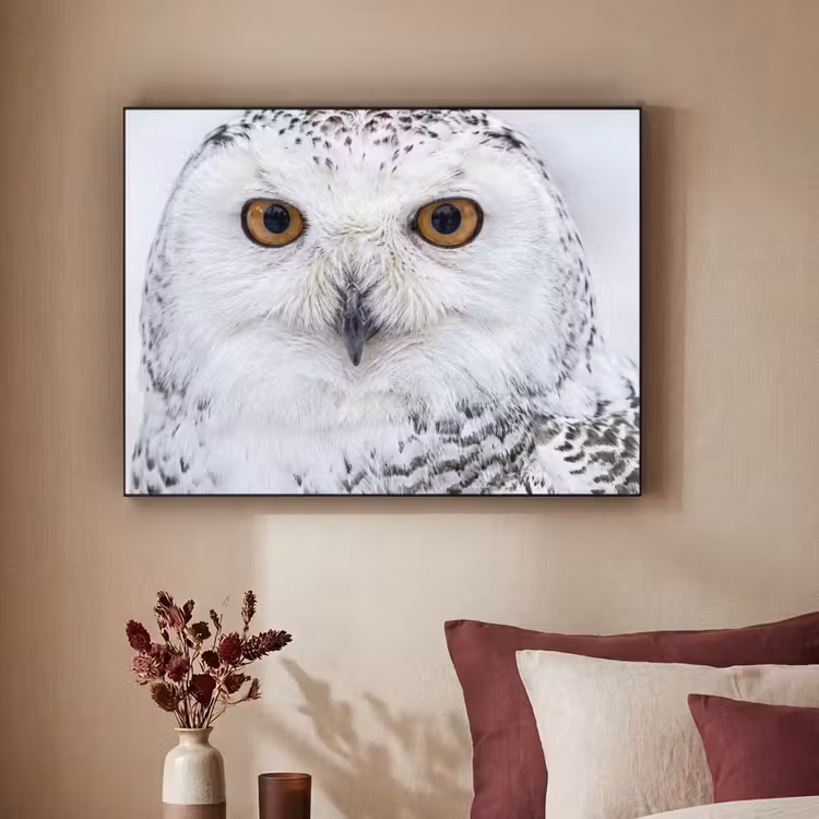 Sneeuwuil - Oog - Wildlife - Wit Textielframe zwart klein -sfeer1