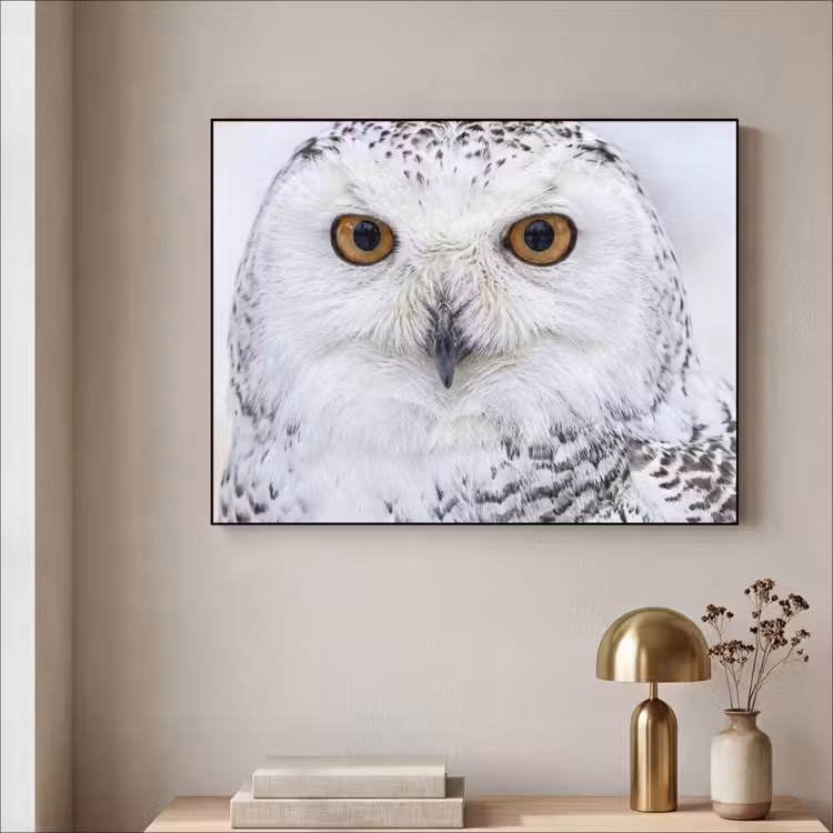 Sneeuwuil - Oog - Wildlife - Wit Textielframe zwart klein -sfeer2