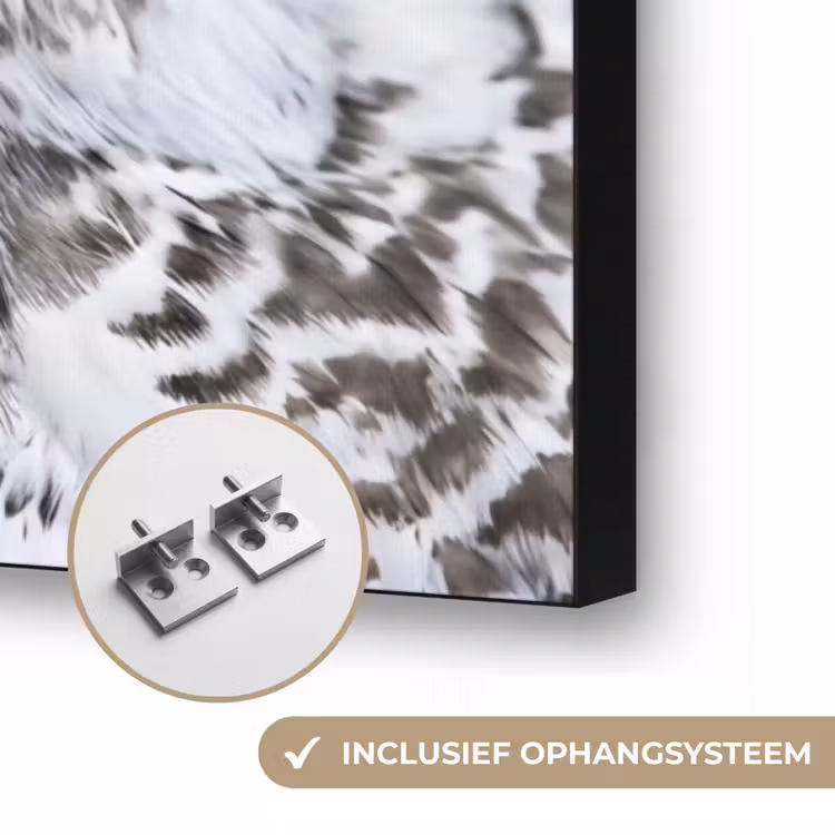 Sneeuwuil - Oog - Wildlife - Wit Textielframe zwart klein -USP_ophangsysteemNL