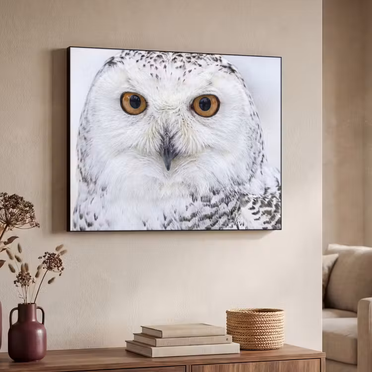 Sneeuwuil - Oog - Wildlife - Wit Textielframe zwart klein -sfeer3