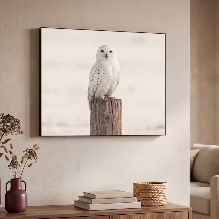 Sneeuwuil - Paal - Winter - Portret - Majestueus Textielframe zwart klein -sfeer3