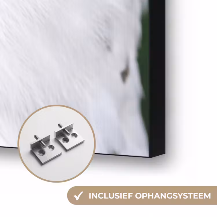 Sneeuwuil - Portret - Geel Textielframe zwart klein -USP_ophangsysteemNL