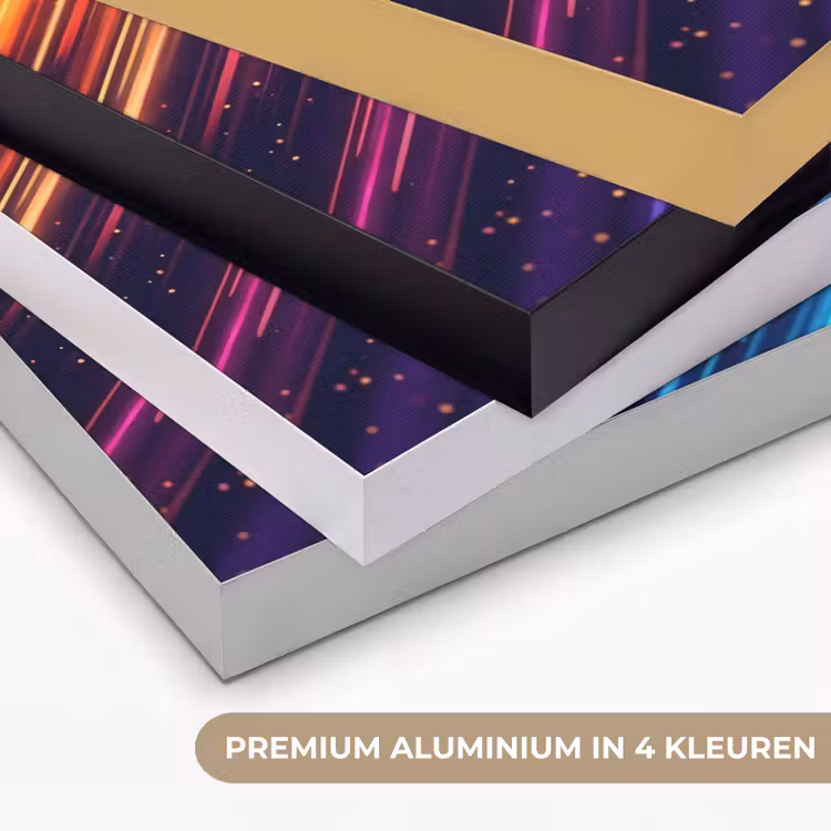 Snelheid - Kosmos - Kleurrijk Textielframe zwart klein -USP_kleurenNL
