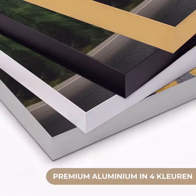 Sparrenbos - Weg - Bergen - Sneeuw Textielframe zwart klein -USP_kleurenNL