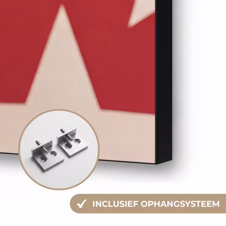 Spel - Dierenprint - Nummer 8 - Modern - Rood Textielframe zwart klein -USP_ophangsysteemNL