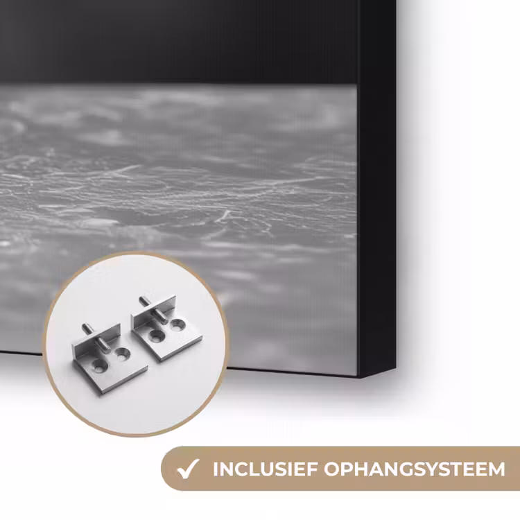 Sphynx - Kat - Dieren - Humor - Spaghetti - Zwart Wit Textielframe zwart klein -USP_ophangsysteemNL
