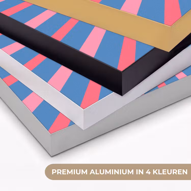 Spreuk - Grafisch - Abstract - Roze - Blauw Textielframe zwart klein -USP_kleurenNL