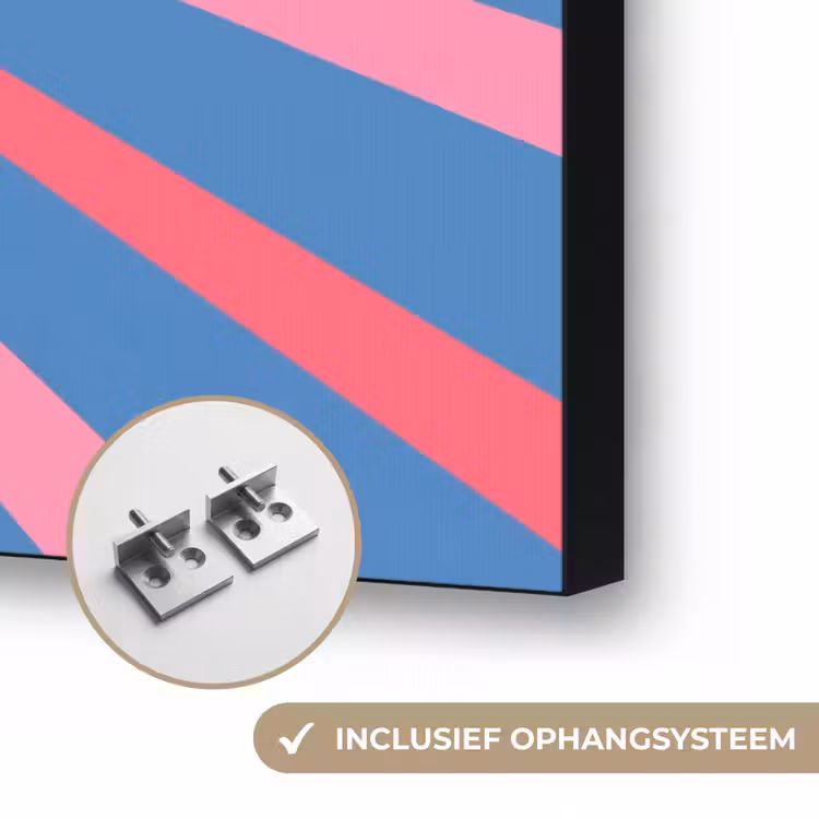 Spreuk - Grafisch - Abstract - Roze - Blauw Textielframe zwart klein -USP_ophangsysteemNL