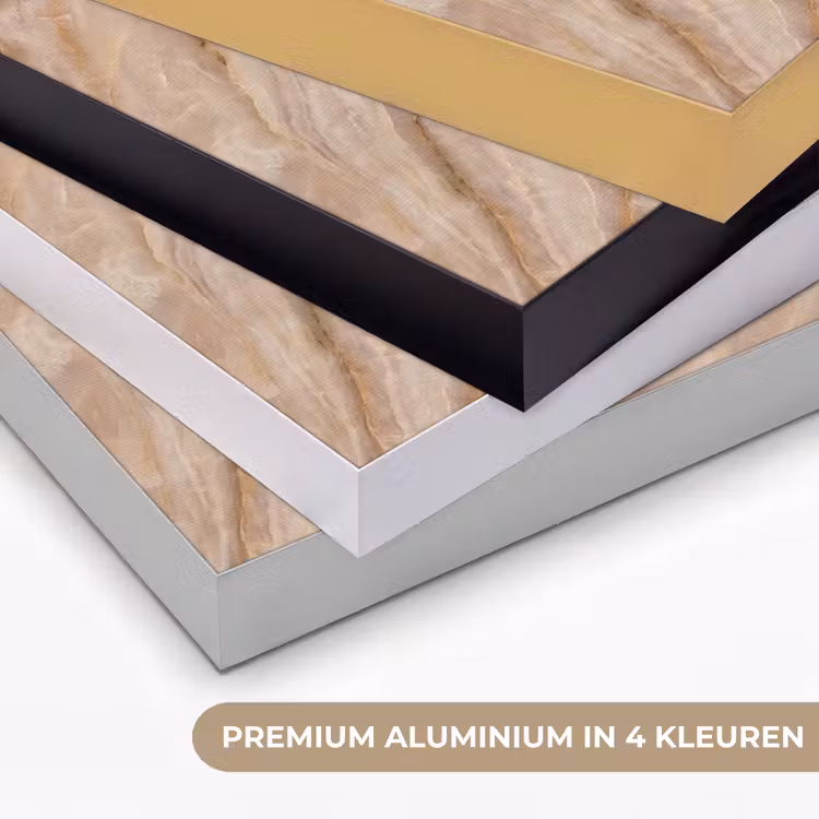 Steen - Ader - Natuur - Modern - Beige Textielframe zwart klein -USP_kleurenNL