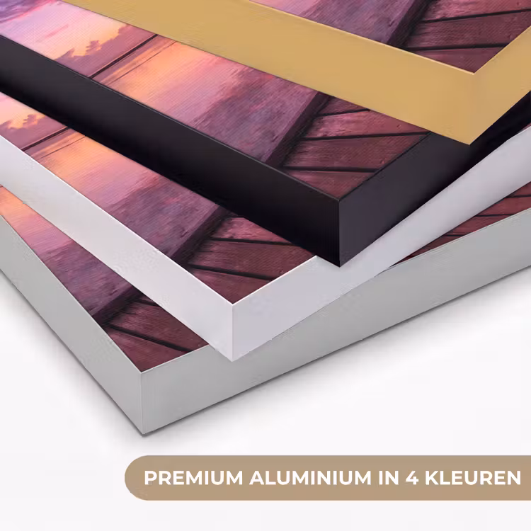 Steiger - Water - Zon - Roze - Horizon Textielframe zwart klein -USP_kleurenNL