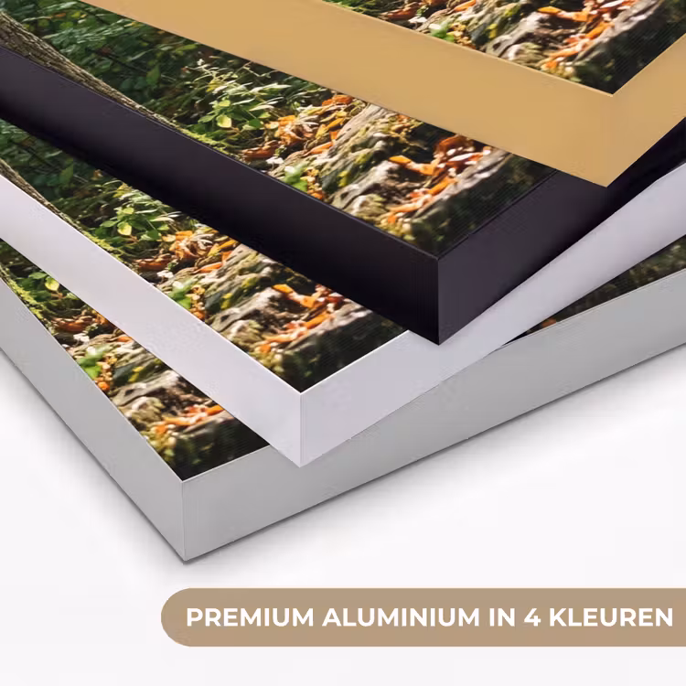 Stenen - Trap - Bos - Natuur Textielframe zwart klein -USP_kleurenNL
