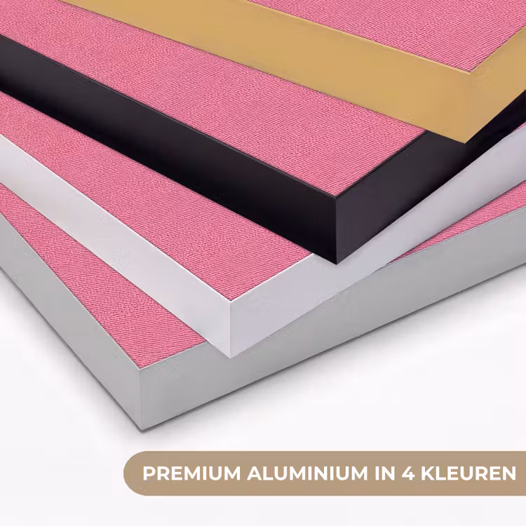 Ster - Luipaard - Print - Roze Textielframe zwart klein -USP_kleurenNL