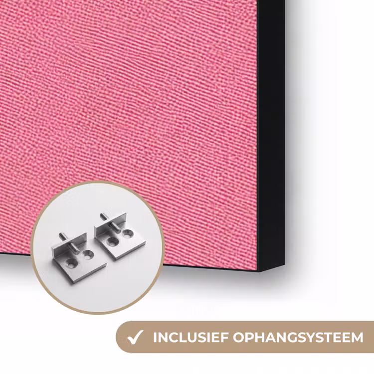 Ster - Luipaard - Print - Roze Textielframe zwart klein -USP_ophangsysteemNL