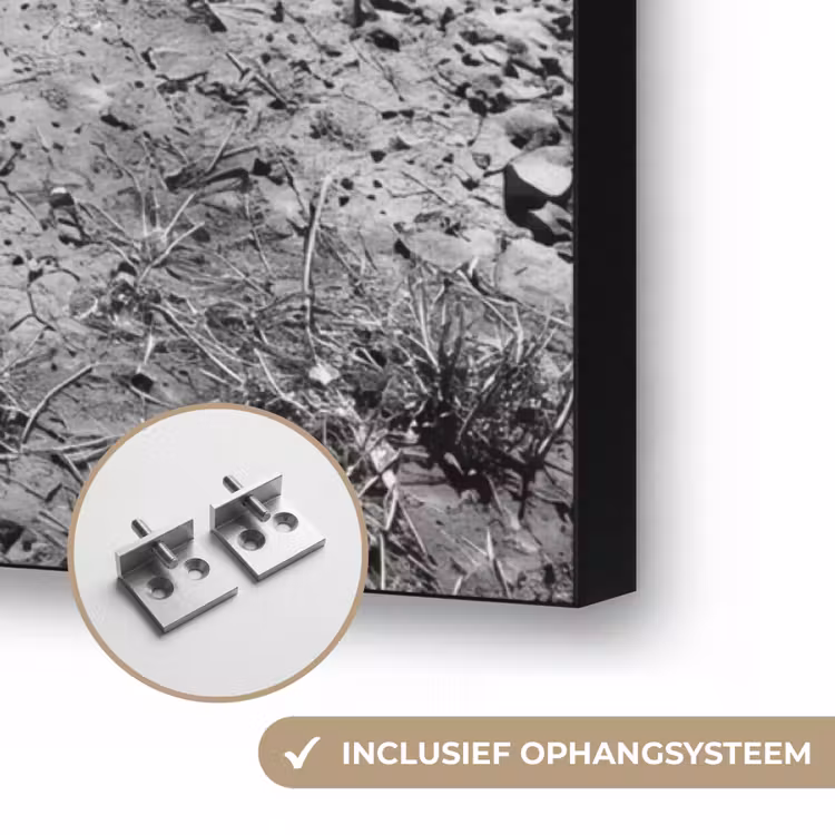 Stier - Schaduw - Dieren - Contrast - Zwart-wit Textielframe zwart klein -USP_ophangsysteemNL