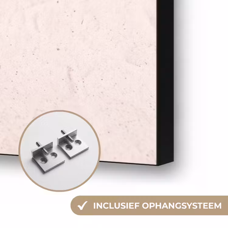 Strand - Ligstoel - Badkleding - Zomer - Roze Textielframe zwart klein -USP_ophangsysteemNL