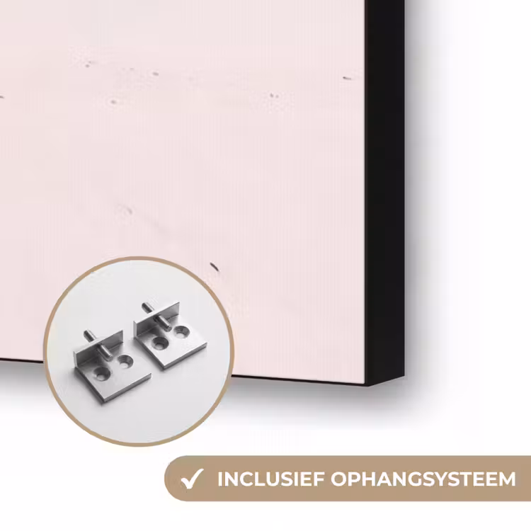 Strand - Parasol - Ligstoel - Zomer - Roze Textielframe zwart klein -USP_ophangsysteemNL