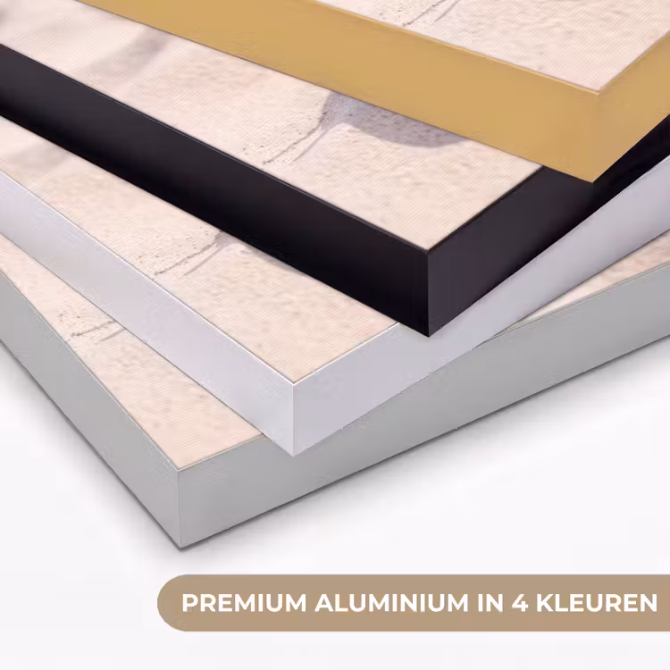 Strand - Schelpen - Zomer - Roze - Decoratie Textielframe zwart klein -USP_kleurenNL