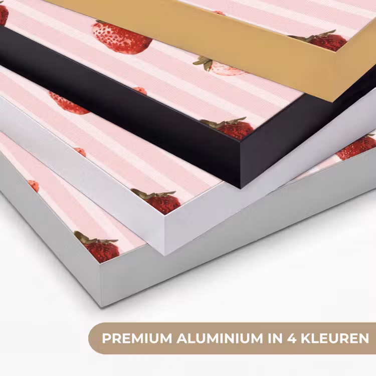 Strepen - Aardbei - Roze Textielframe zwart klein 947 -USP_kleurenNL