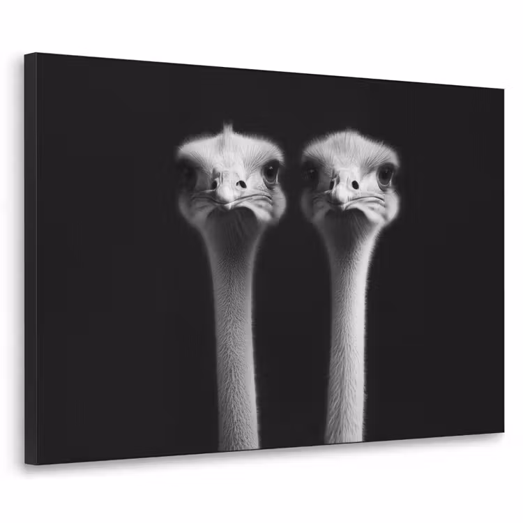 Struisvogels - Halzen - Zwart - Minimalistisch Textielframe - compleet frame klein -3d