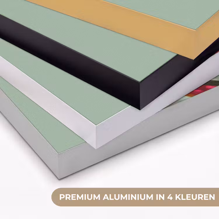 Tak - Bladeren - Kleurrijk - Schaduw Textielframe zwart klein -USP_kleurenNL