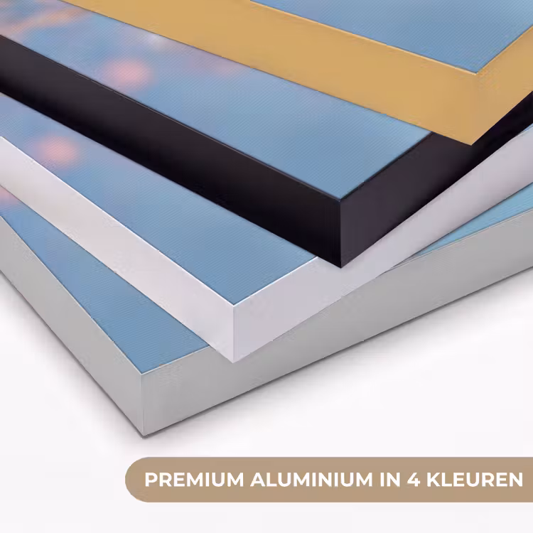 Takken - Bloesems - Roze Textielframe zwart klein -USP_kleurenNL