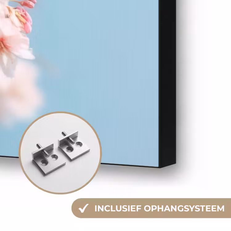 Takken - Bloesems - Roze Textielframe zwart klein -USP_ophangsysteemNL