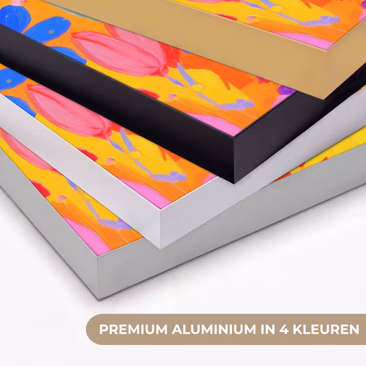 Tas - Roze - Bloemen Textielframe zwart klein -USP_kleurenNL
