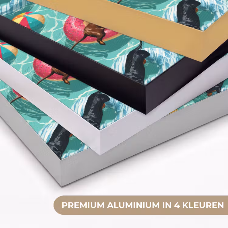 Teckels - Zwembad - Kleurrijk Textielframe zwart klein 947 -USP_kleurenNL